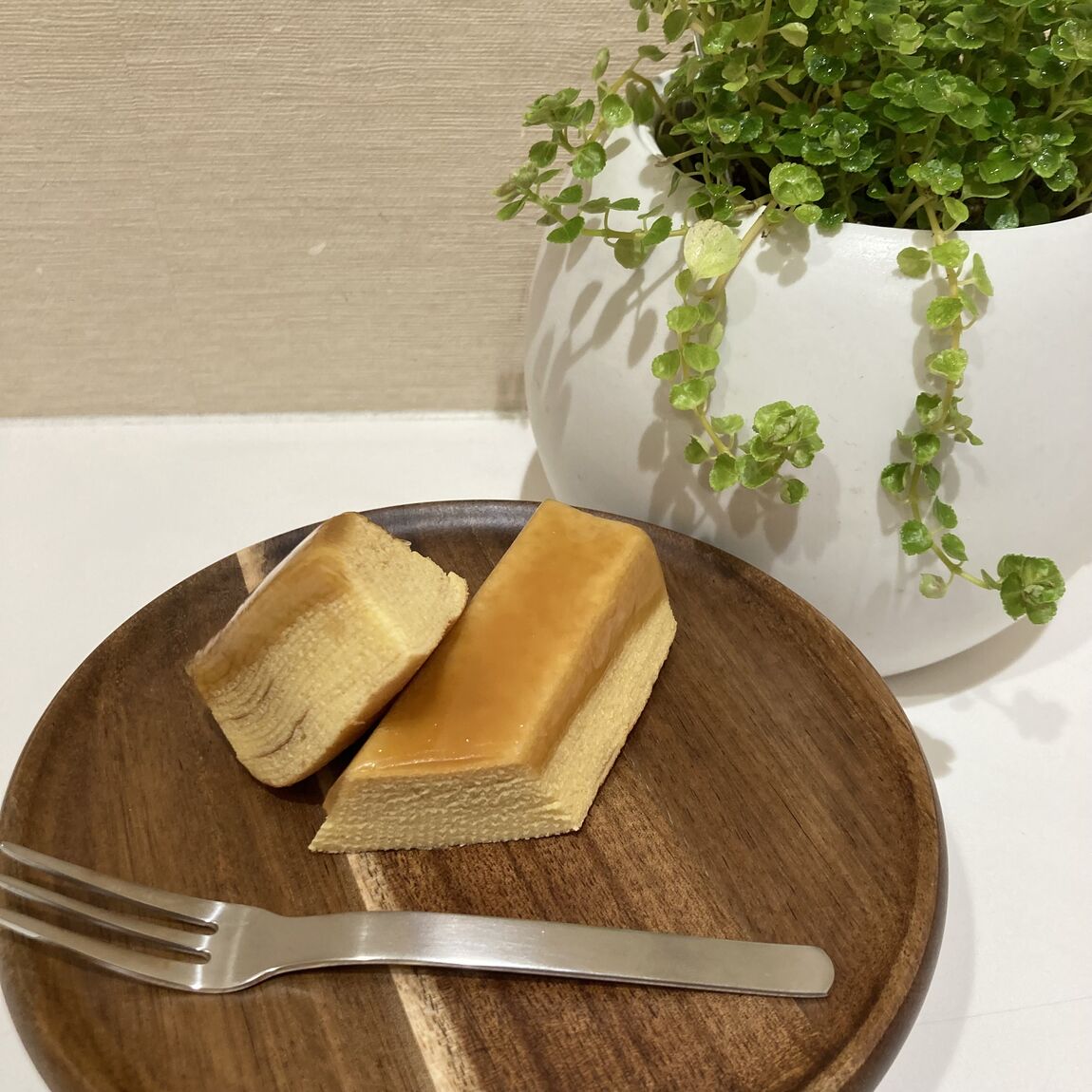 みんなでつくるバウム
