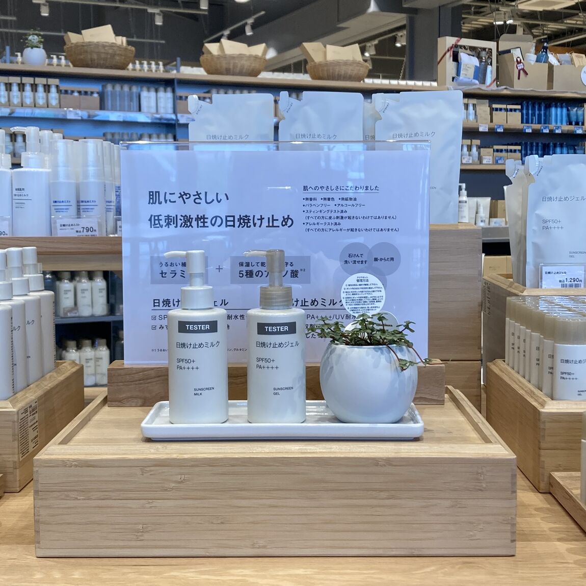 おたより
