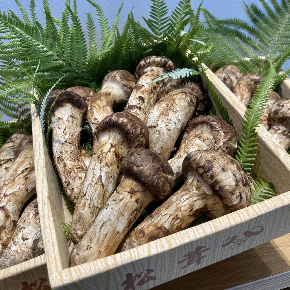 【イオンモール堺北花田】食卓を囲んであったまろ｜週末のごちそう