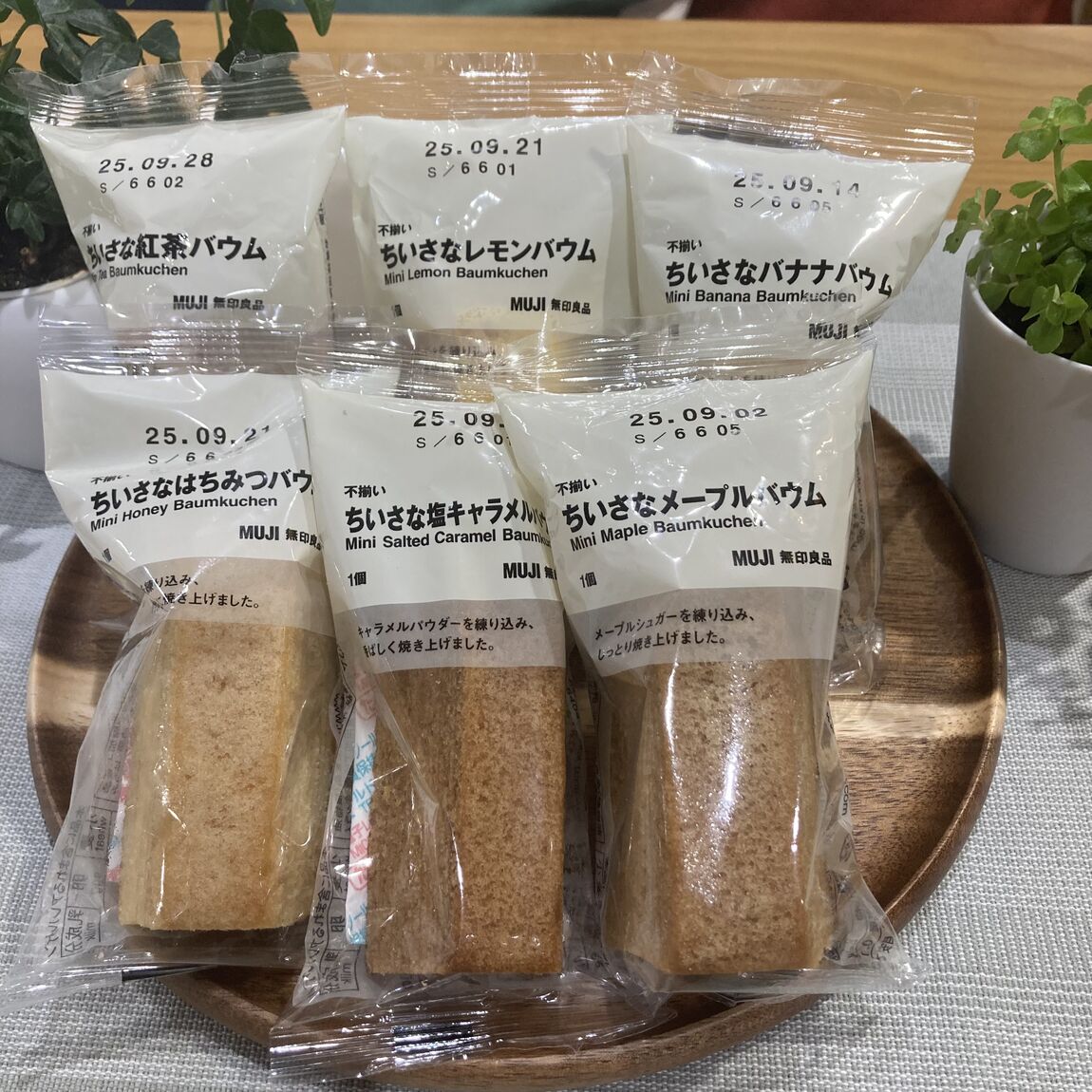 バウム６種類