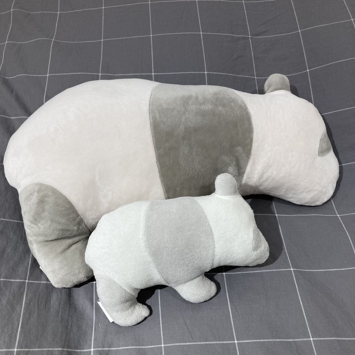 動物0