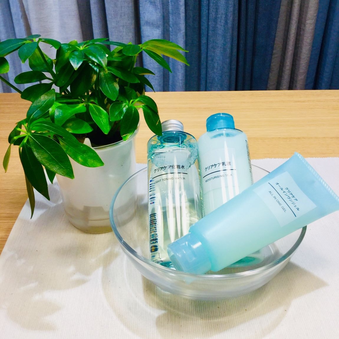 クリアケアと観葉植物
