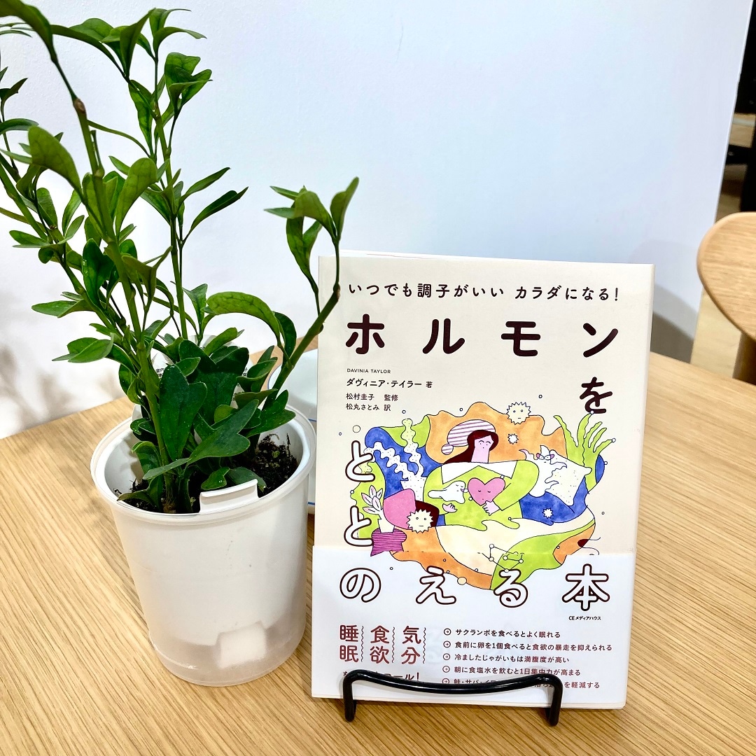 プロモ２