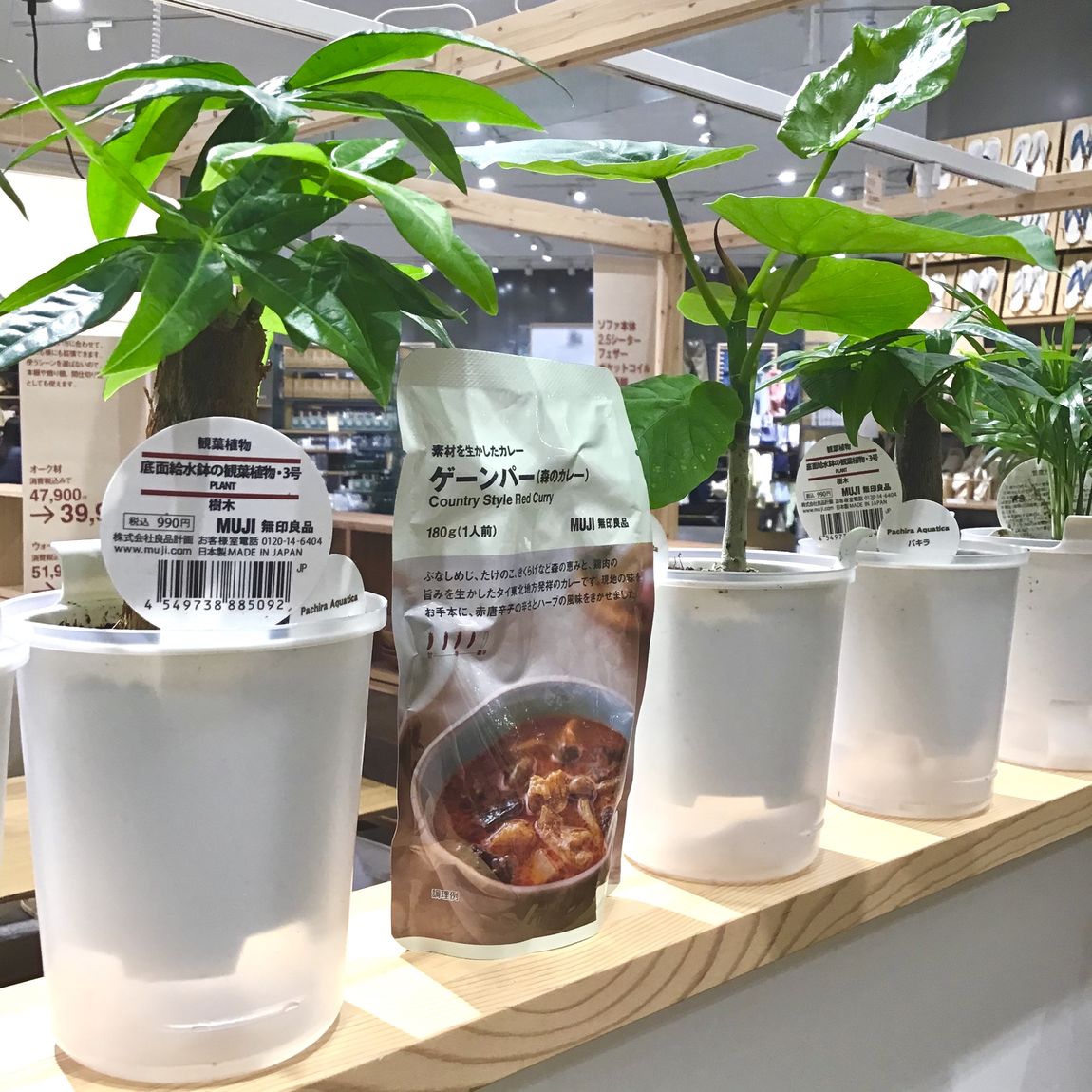 新商品の紹介