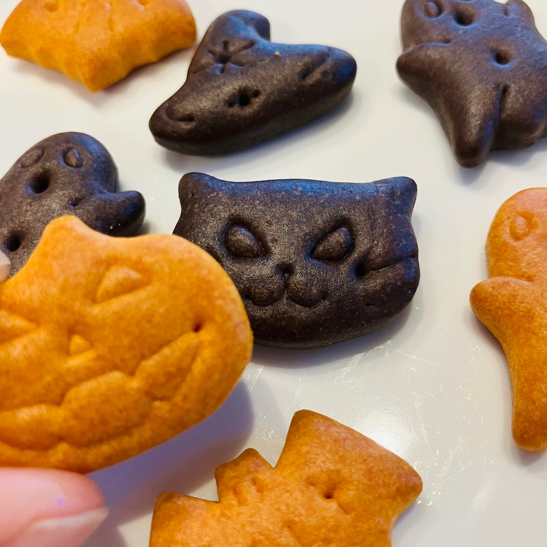 かぼちゃのお菓子｜期間限定