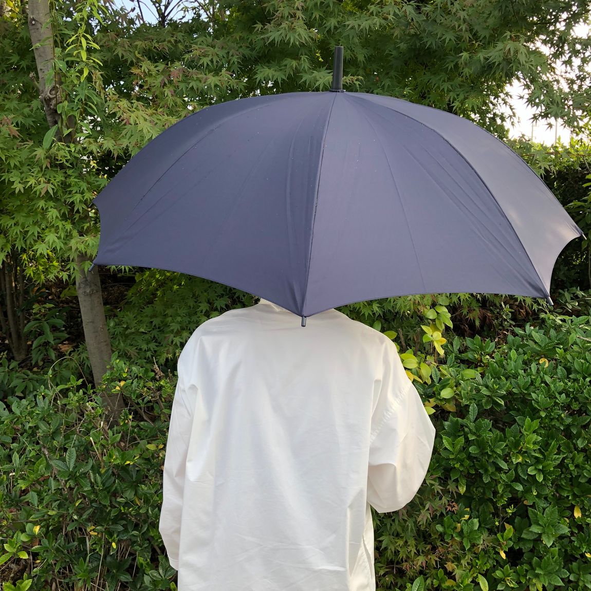 突撃インタビュー　最近何買いました