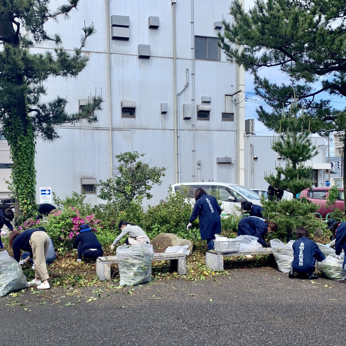 作業が進んでいる様子（全体感）