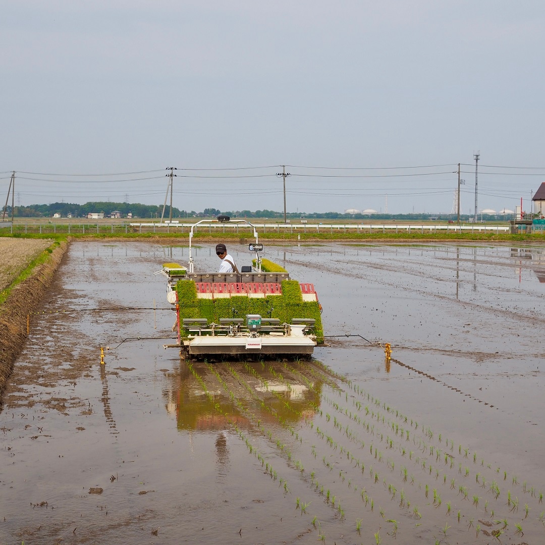 ふぁーむ大地