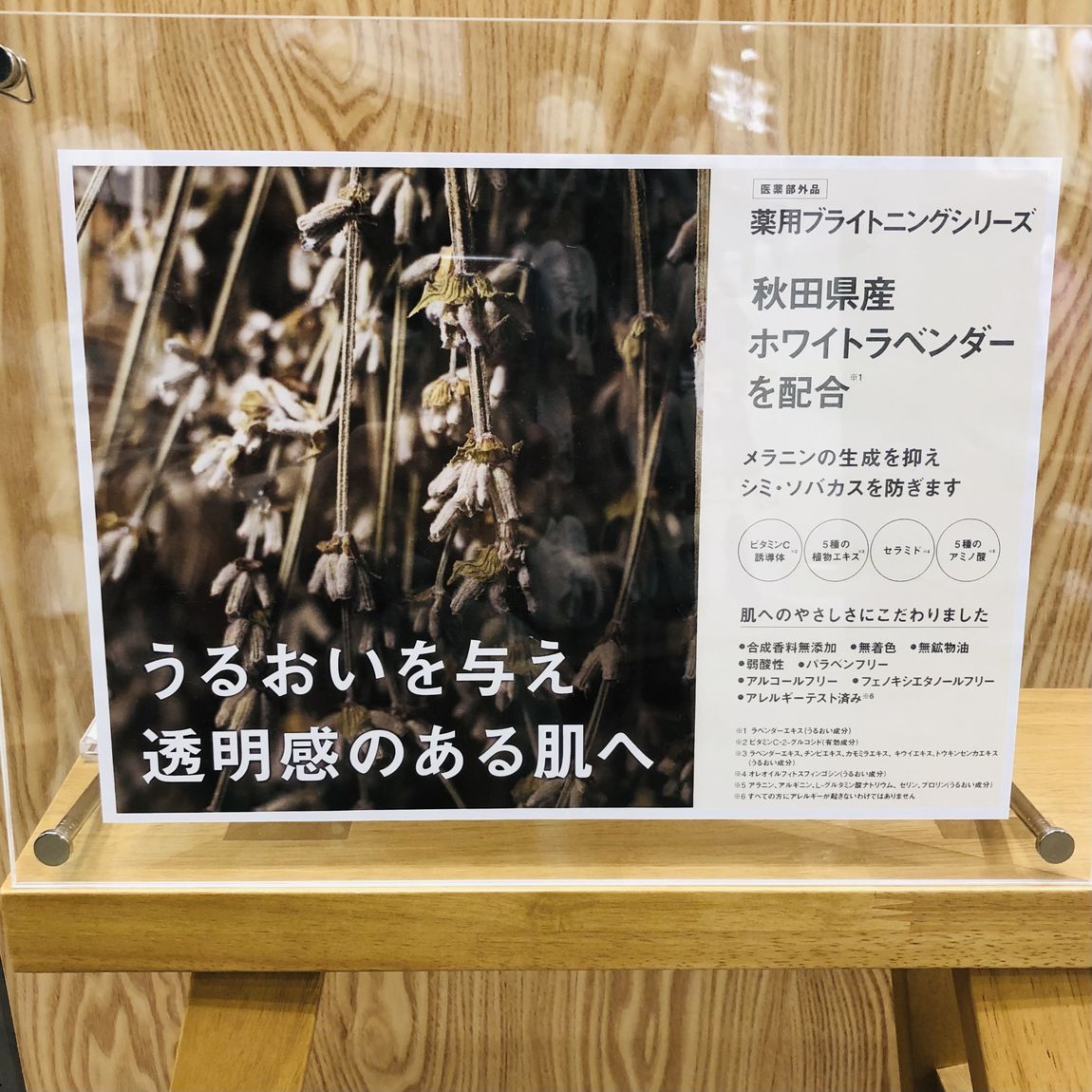 ラベンダー