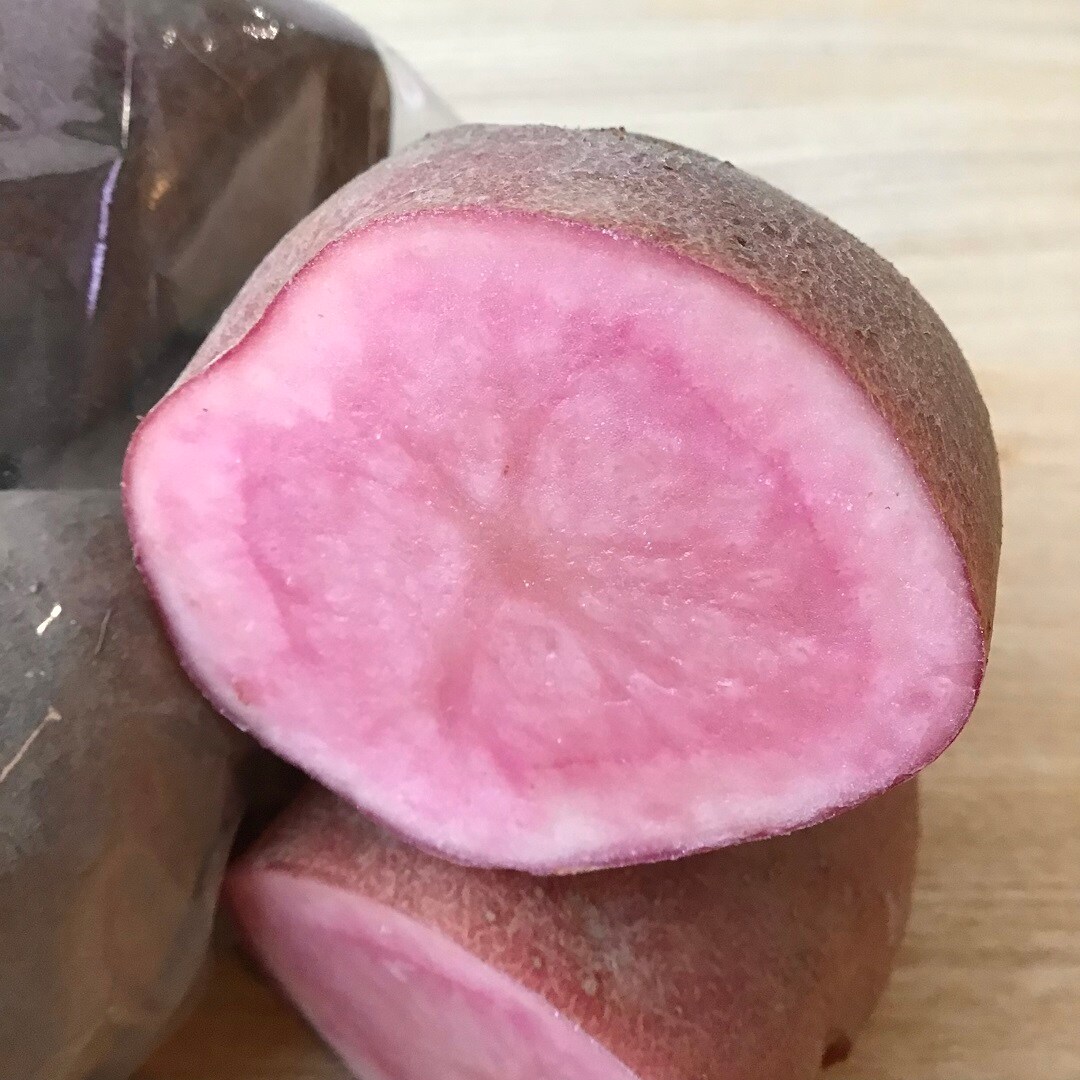 ノーザンルビー