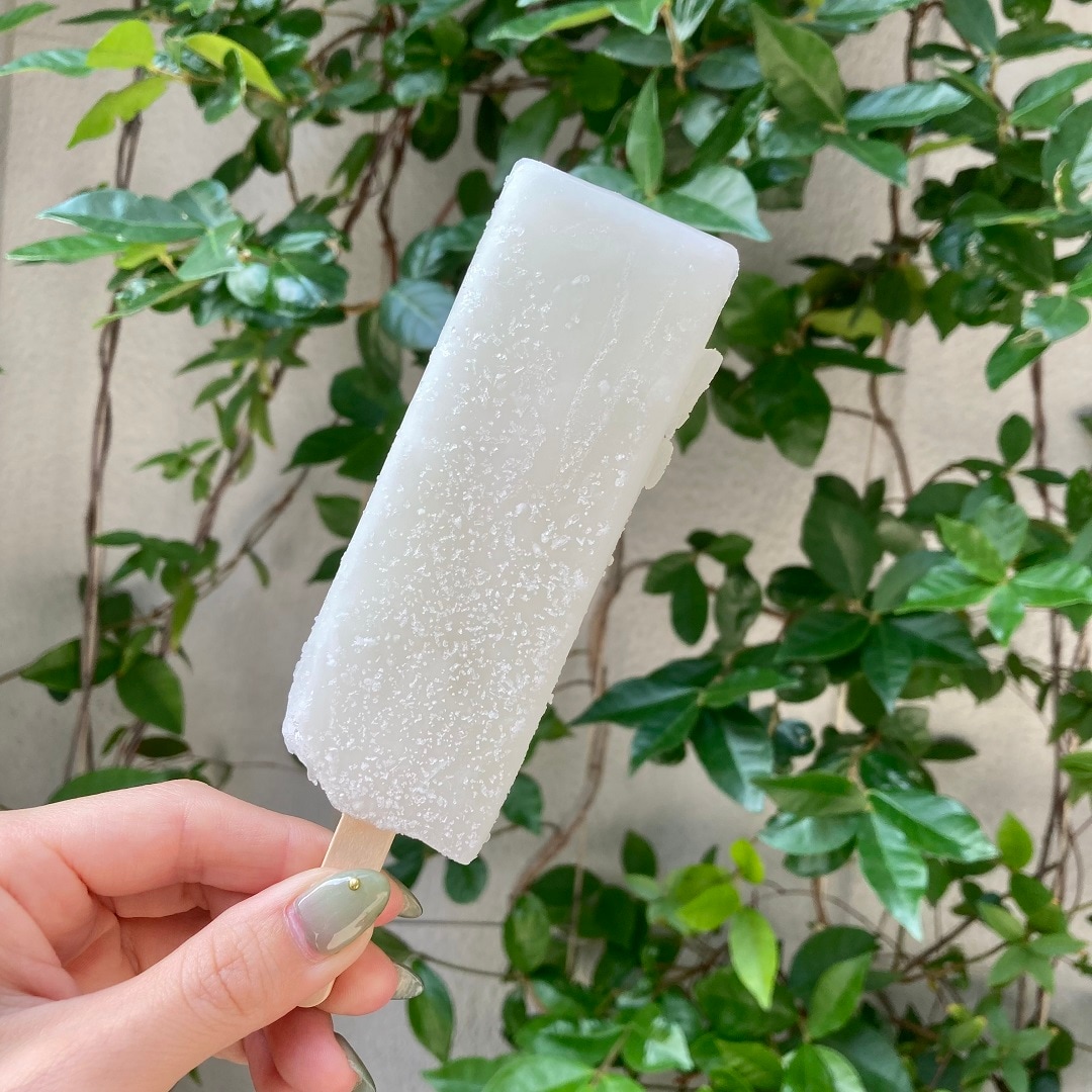 【マルエイガレリア】夏にさっぱり食べたいアイスキャンデー｜スタッフのおすすめ