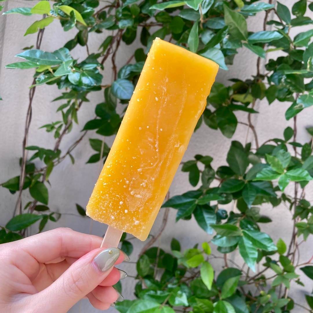 【マルエイガレリア】夏にさっぱり食べたいアイスキャンデー｜スタッフのおすすめ