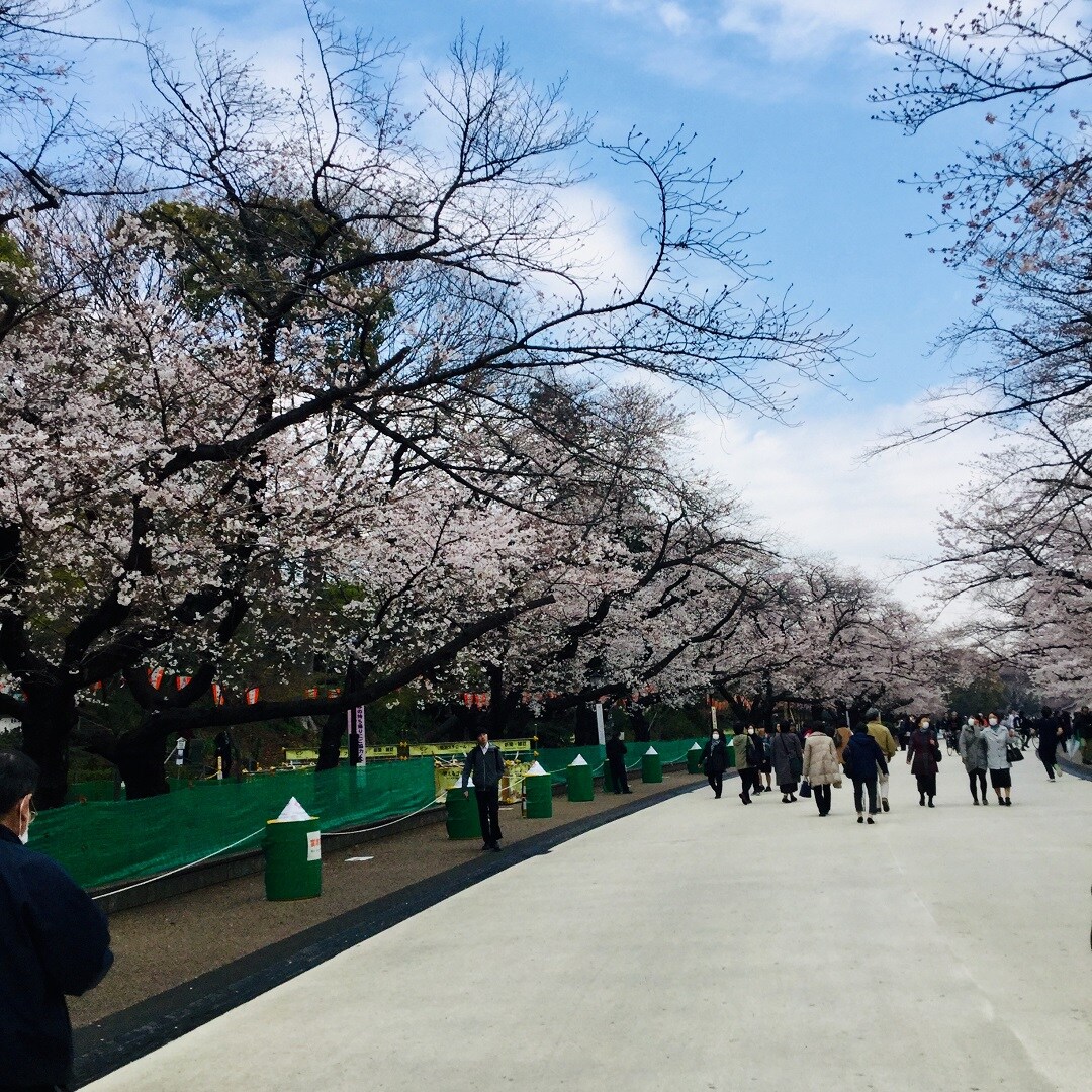 散策している人達