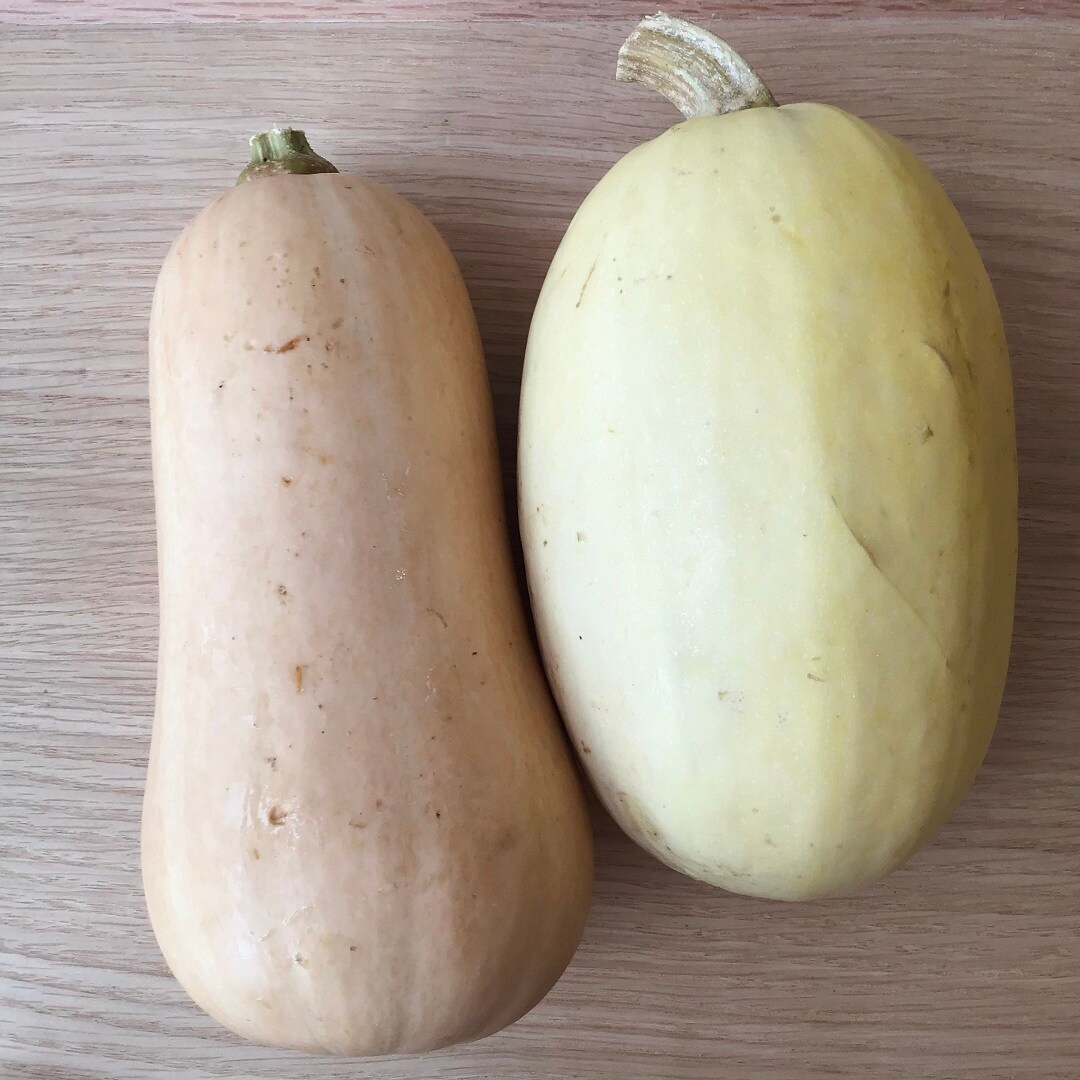 【近鉄四日市】今週のお野菜｜入荷のお知らせ
