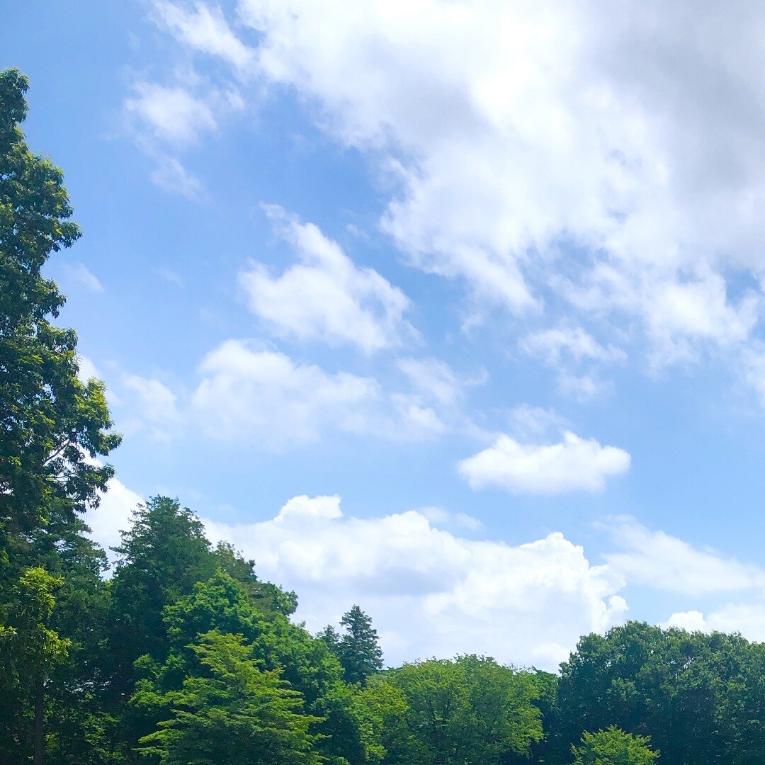 夏の青空雲の画像