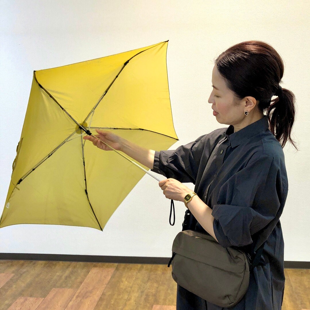カサ