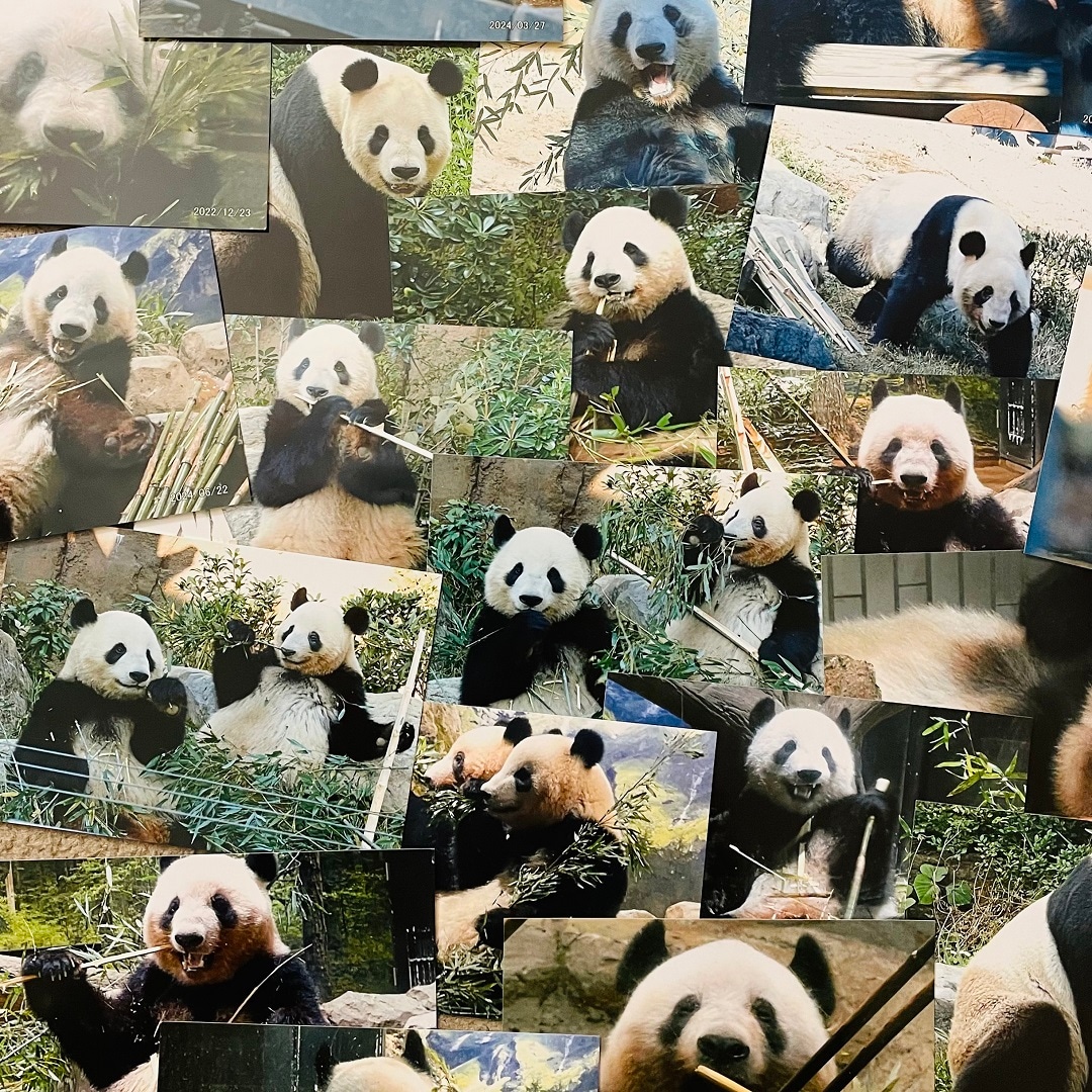 【Cafe＆MealMUJI上野マルイ】パンダ