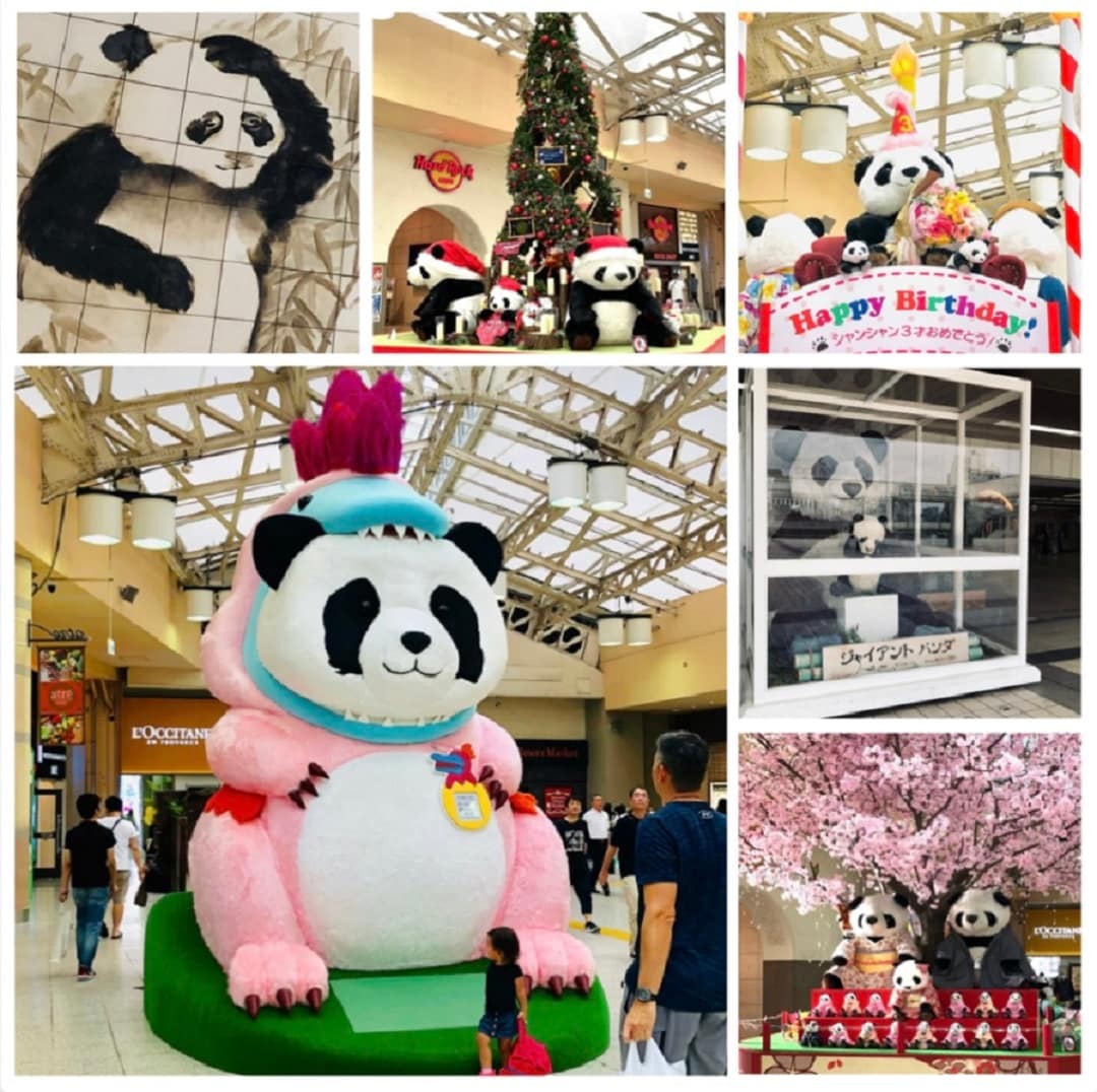 【Cafe＆MealMUJI上野マルイ】パンダ