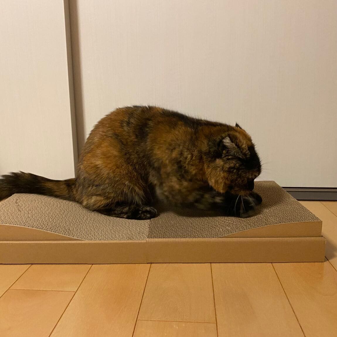 【青木島ショッピングパーク】