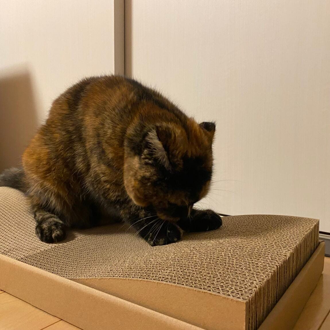 【青木島ショッピングパーク】