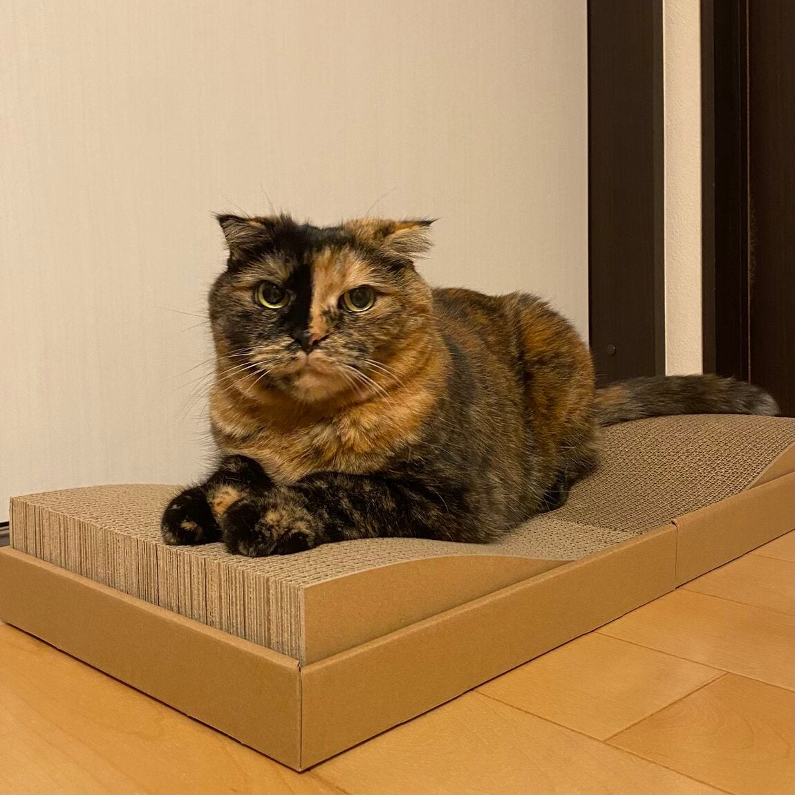 【青木島ショッピングパーク】