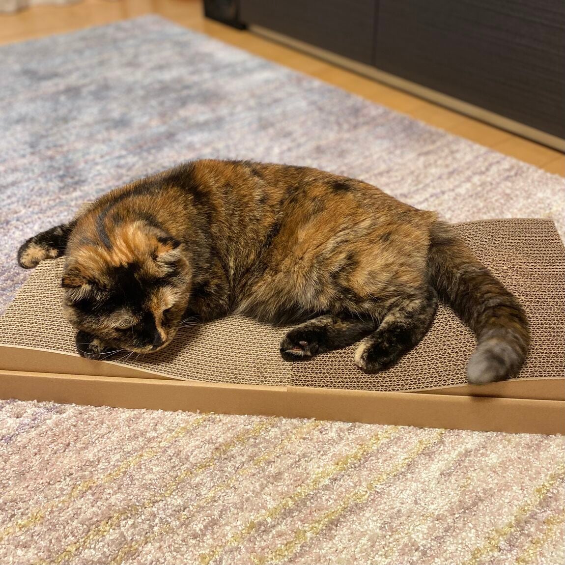 【青木島ショッピングパーク】