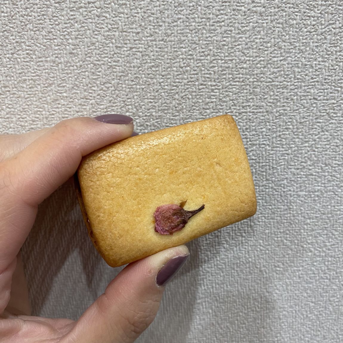 【フェアモール福井】　今年も桜シリーズの食品が入荷されました。クッキー