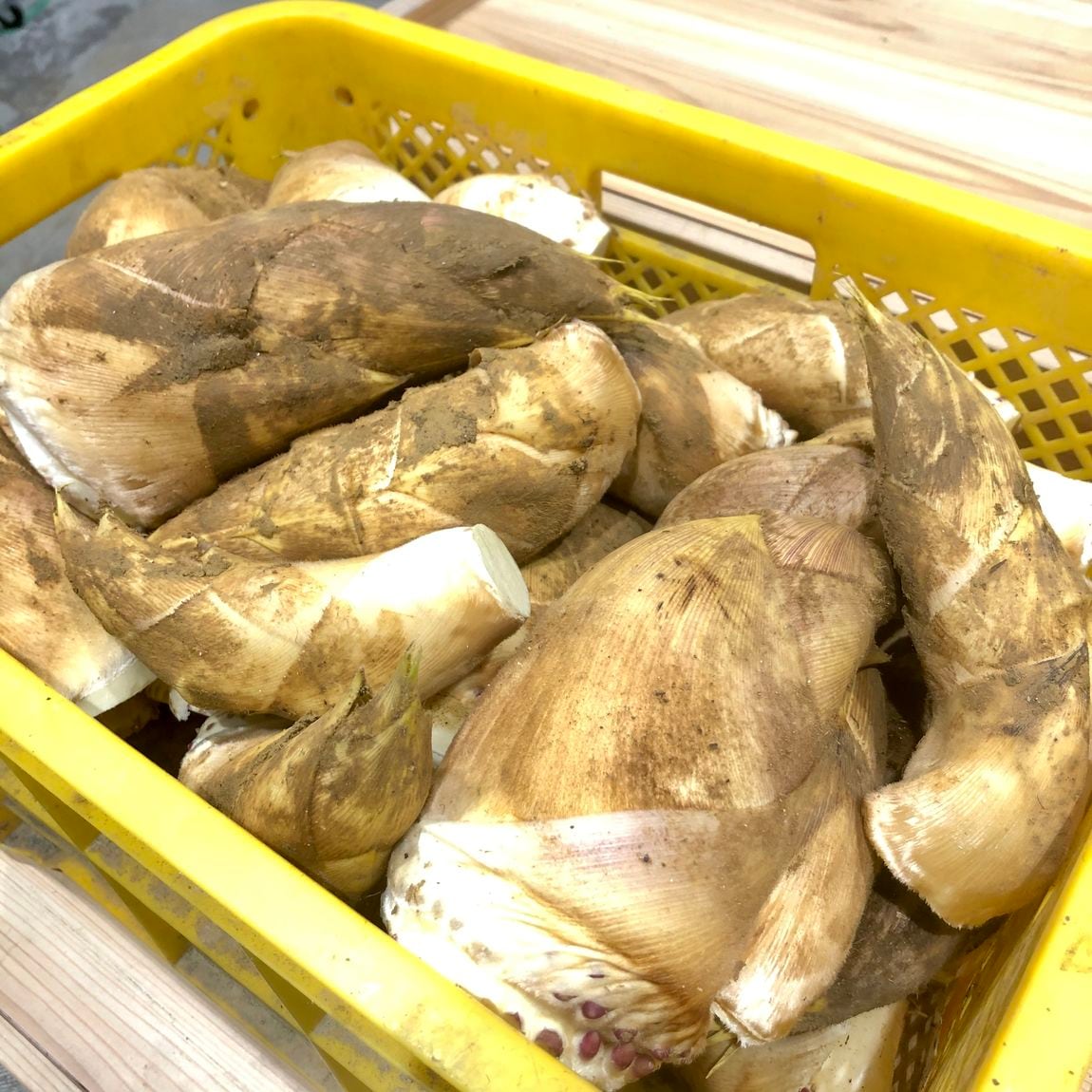 【堺北花田】春の味覚が待っています。｜週末のごちそう