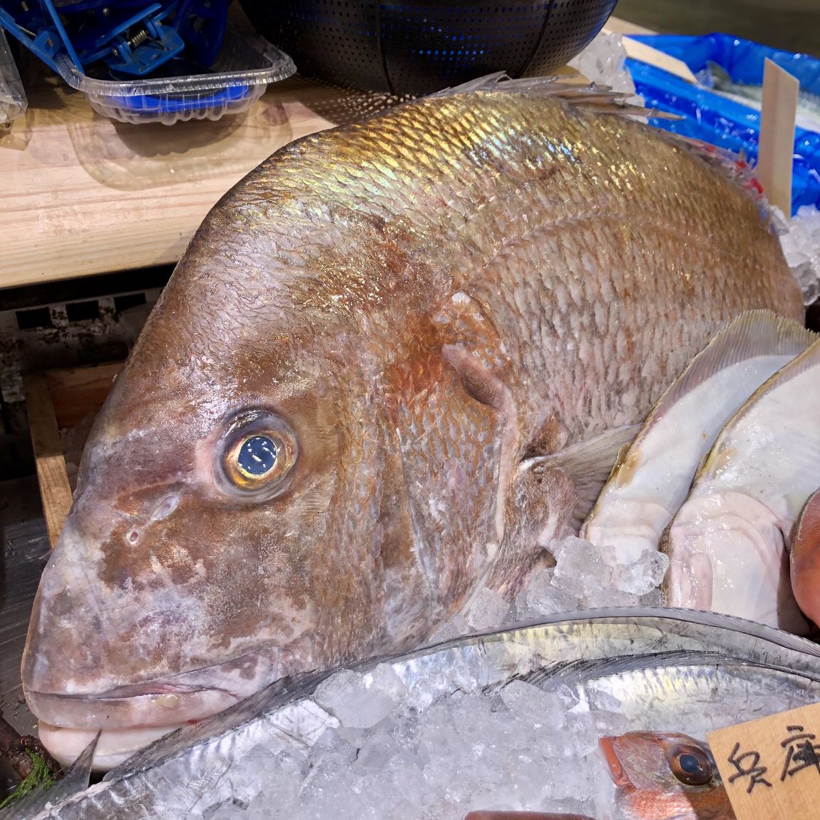 【堺北花田】私たちは元気です。｜火曜生鮮市