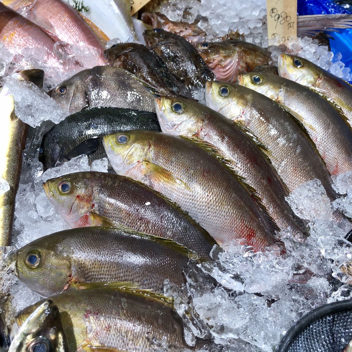 【堺北花田】私たちは元気です。｜火曜生鮮市