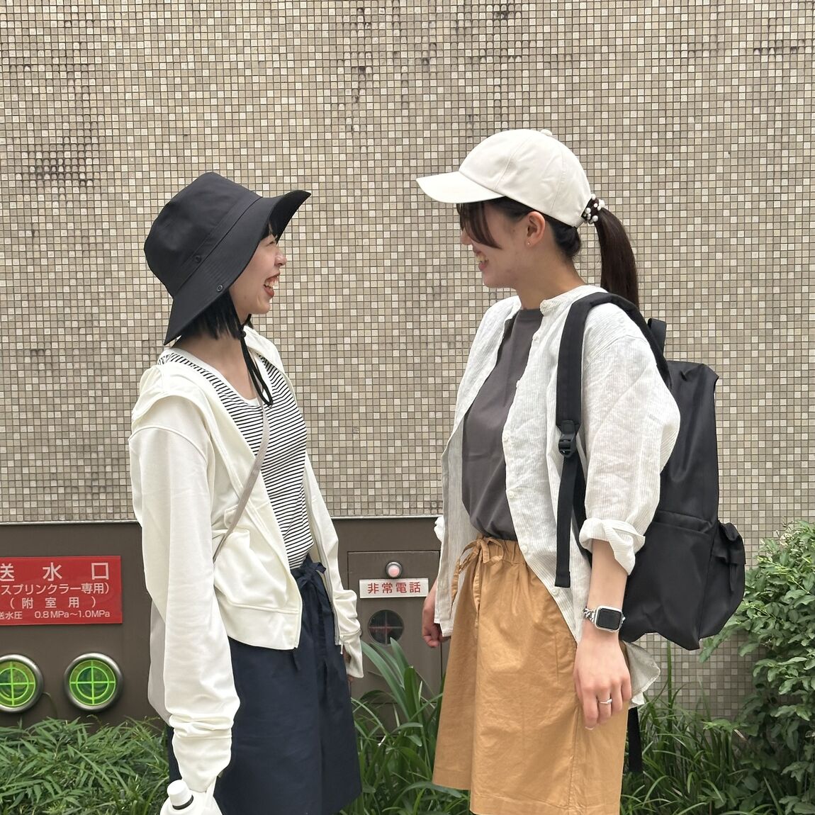 見合わせ