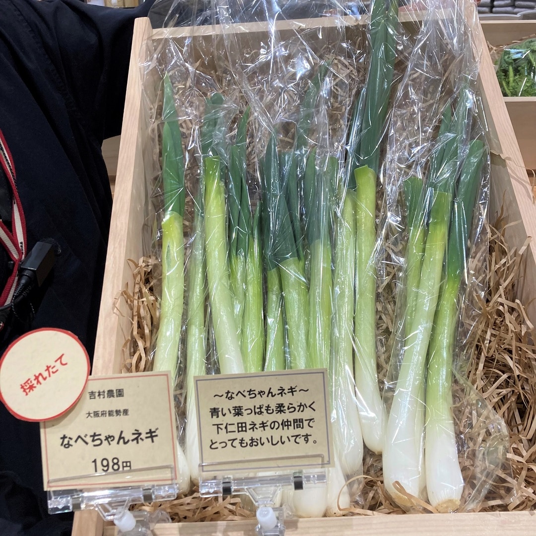 白ねぎの写真
