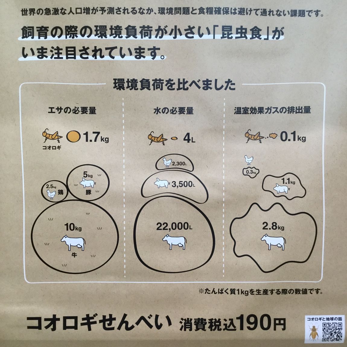 【アリオ倉敷】コオロギせんべい、入荷しました