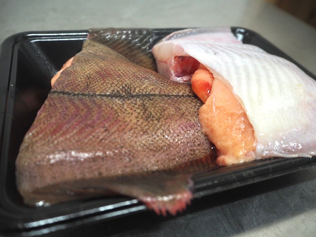 【京都山科】うまい魚、よりどりみどりです｜月曜日は良い魚の日