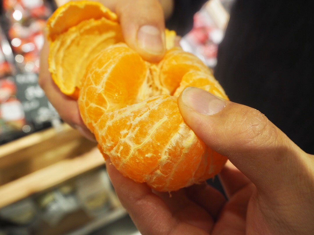 【京都山科】今の季節に食べたいみかん。｜はなおか青果