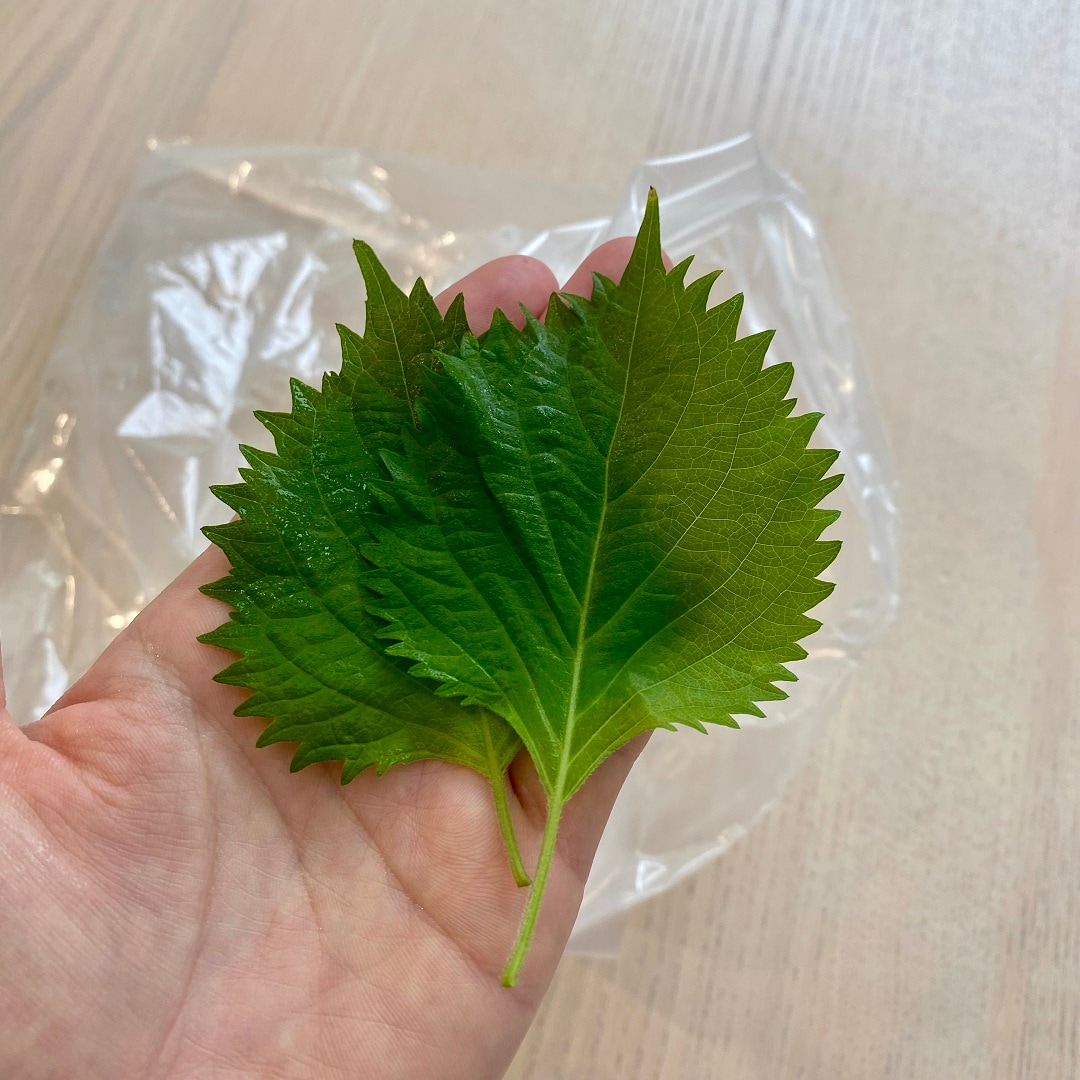 野菜