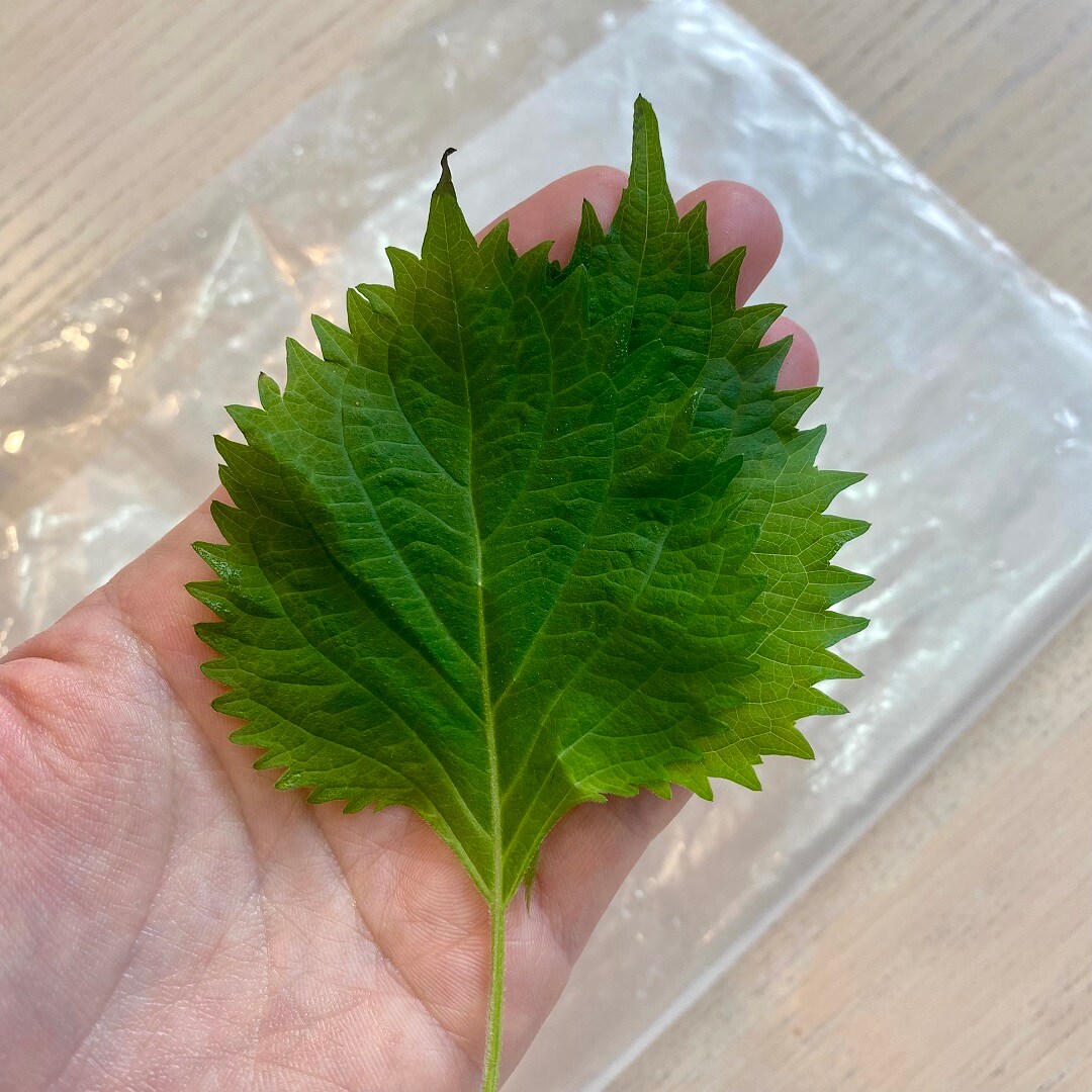 野菜