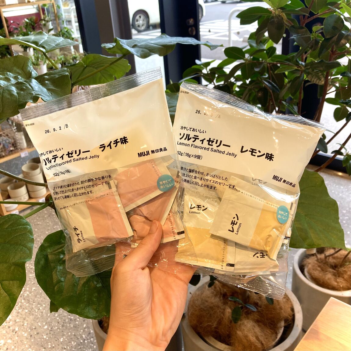 【小倉愛宕】試食会・お試し会開催のお知らせ_5v29Q8