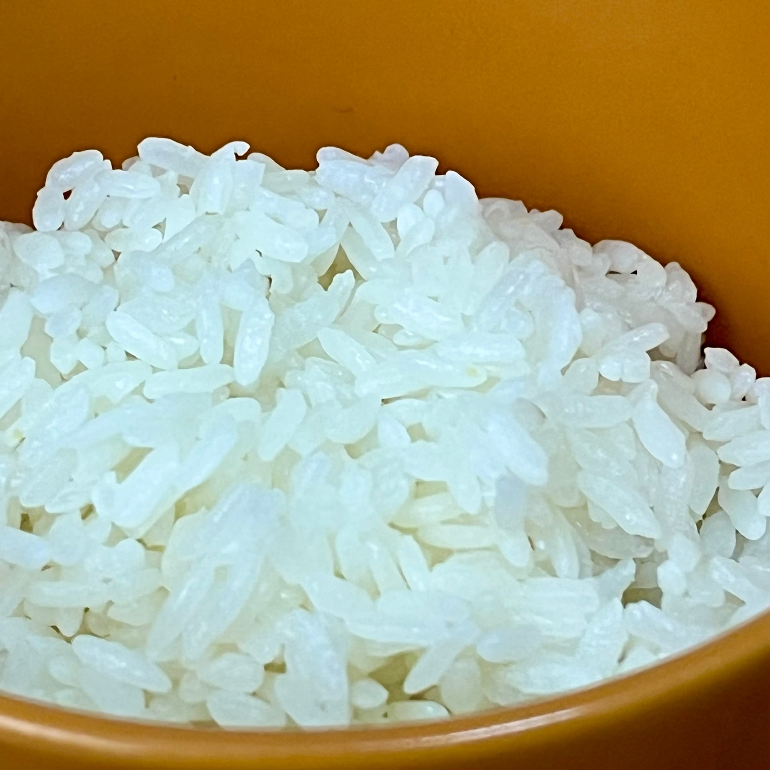 器に盛ったお米(粒が見えるようアップしたやつ)写真