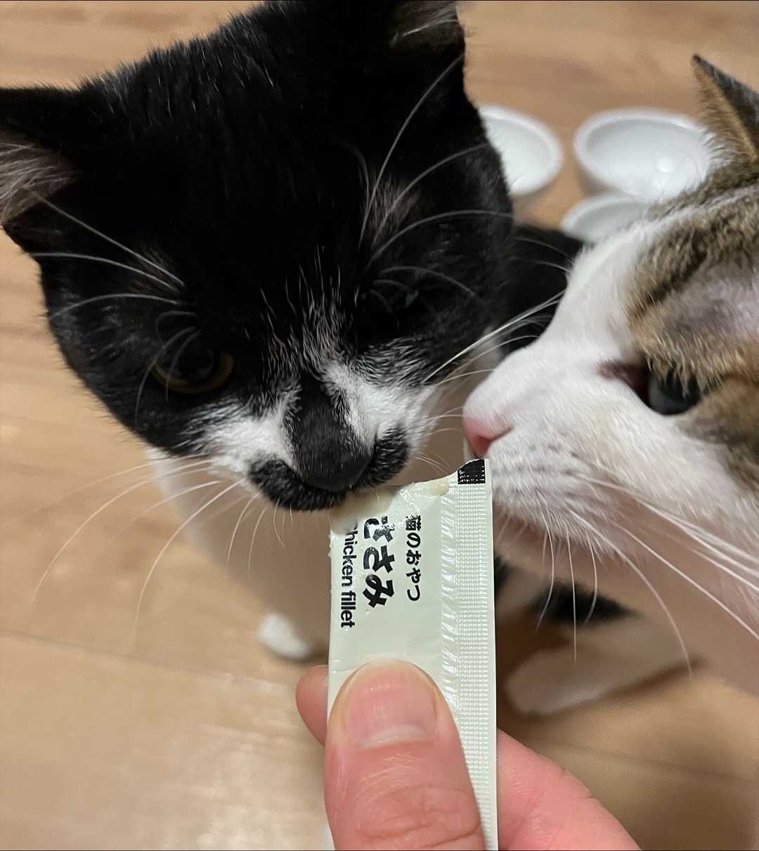 素材を生かした猫のおやつ