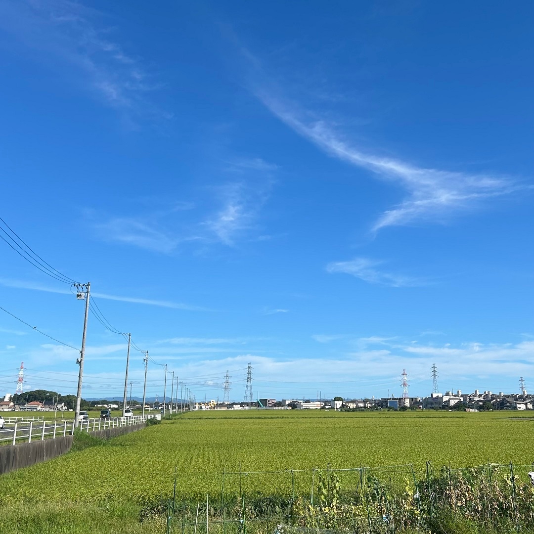 お店の前の風景