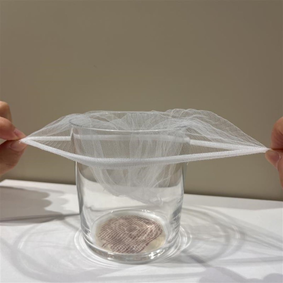 45775_260309_01_03 jpg