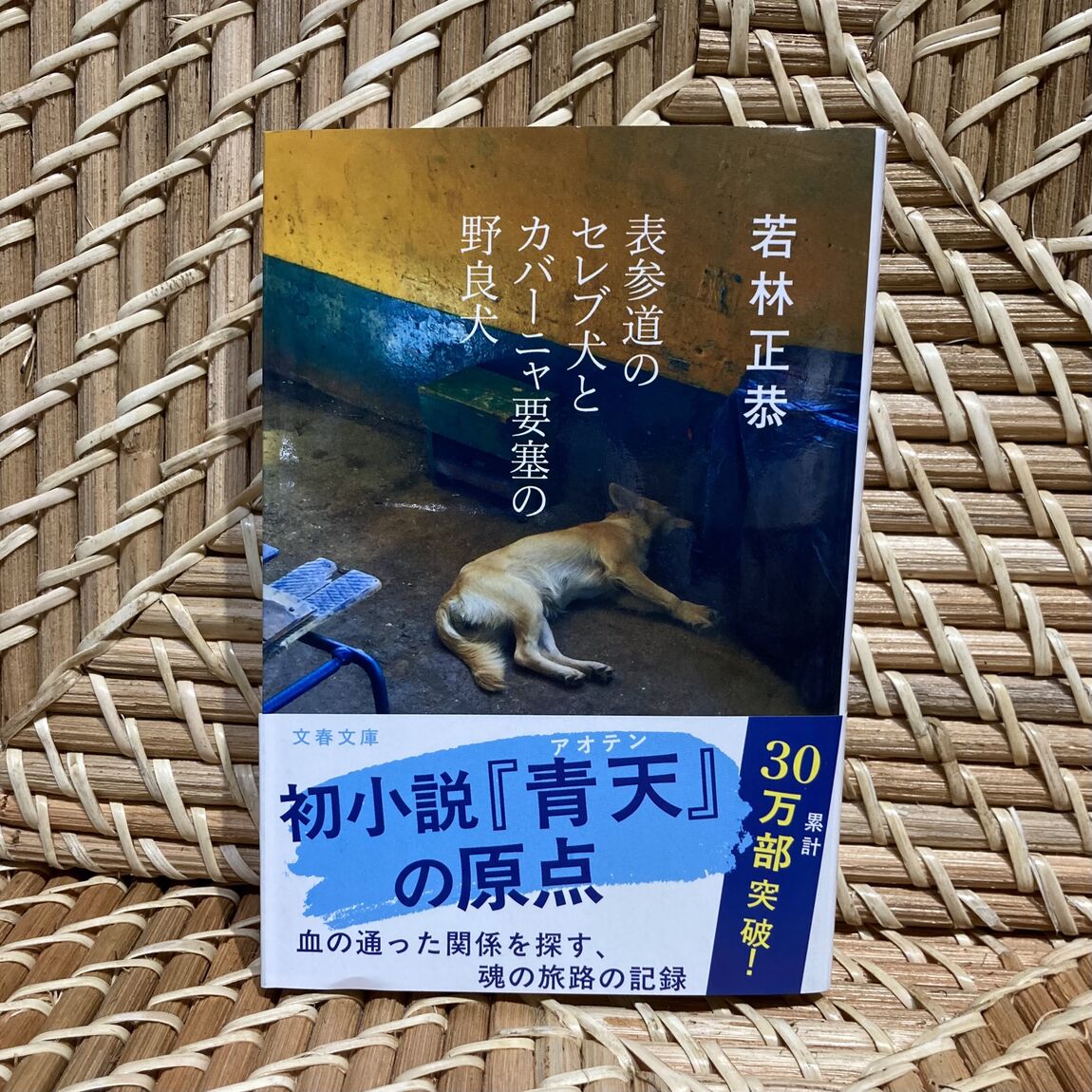 サブ
