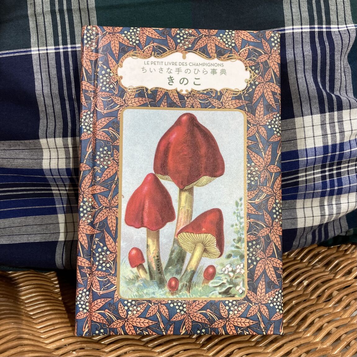 【札幌パルコ】今月の本棚「秋へ」|MUJI BOOKS_r4VCIm