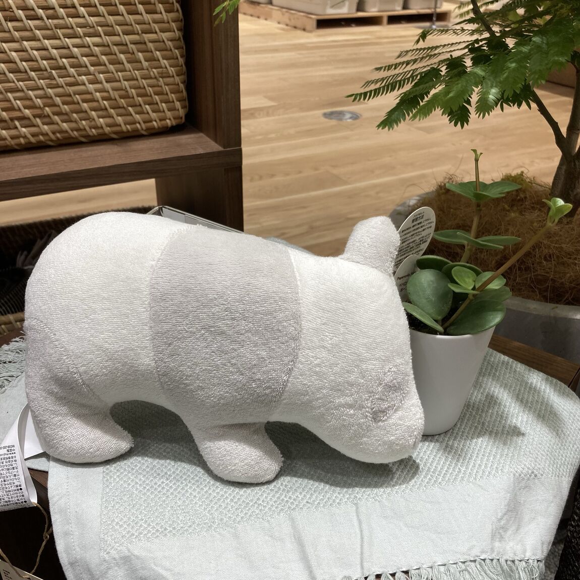 パンダ