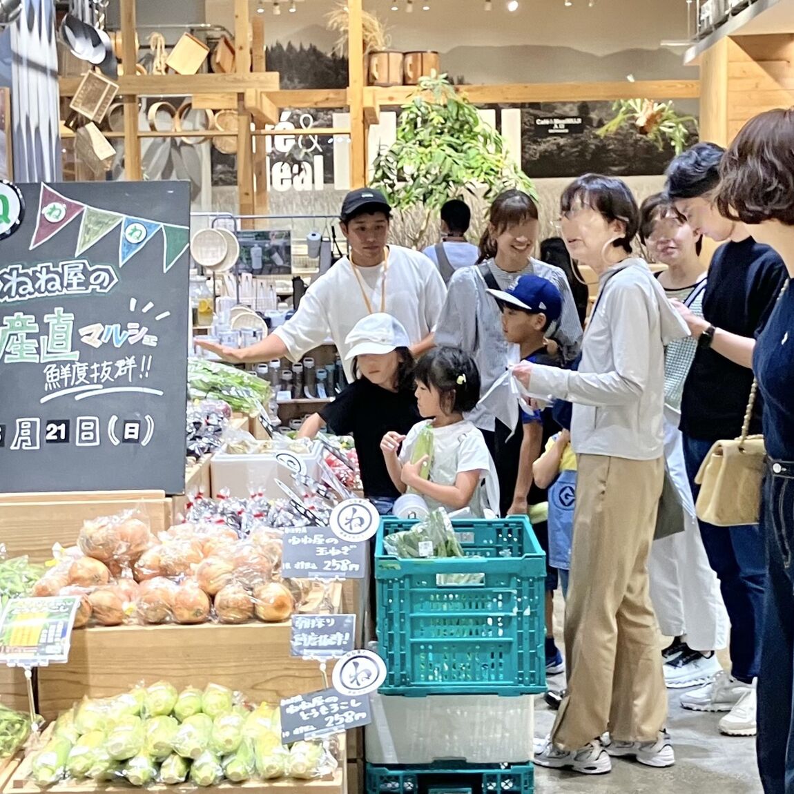 【堺北花田】みんなで学ぼう、とうもろこしの秘密｜イベントレポート