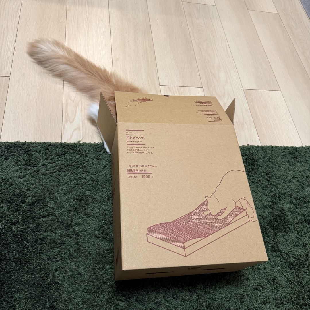 ペット