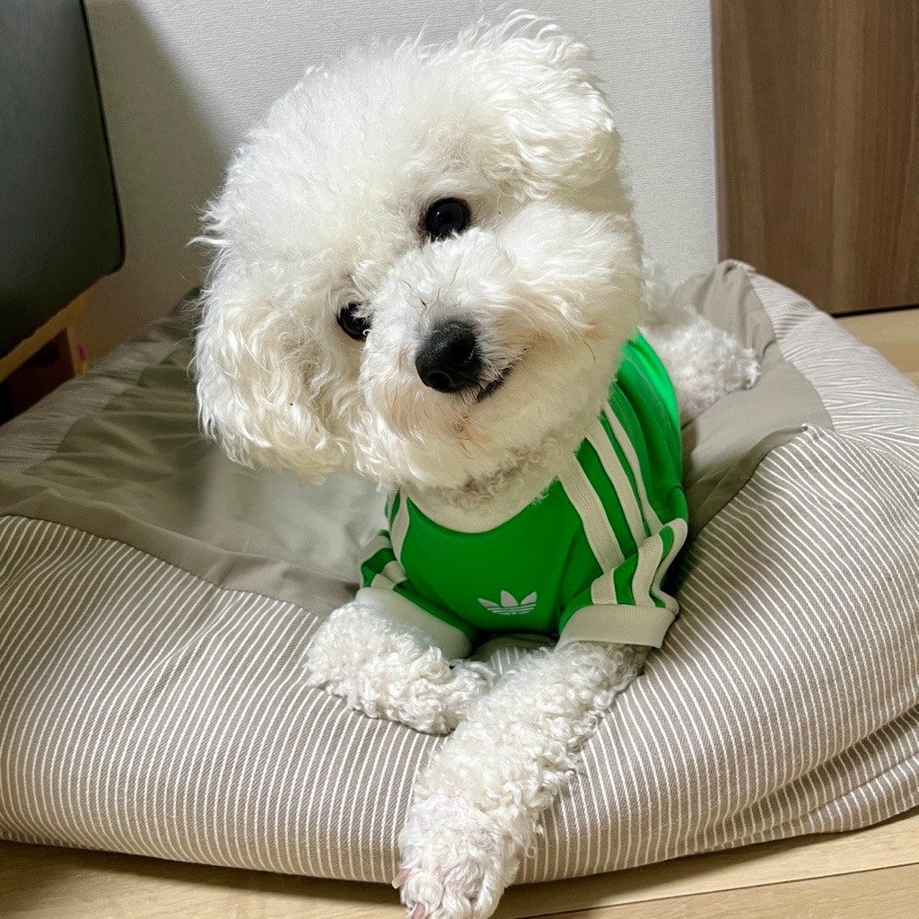 【渋谷西武】店舗取り寄せご存じですか？_mpV1sT