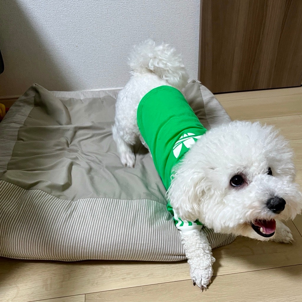 【渋谷西武】店舗取り寄せご存じですか？_6Jr0GD