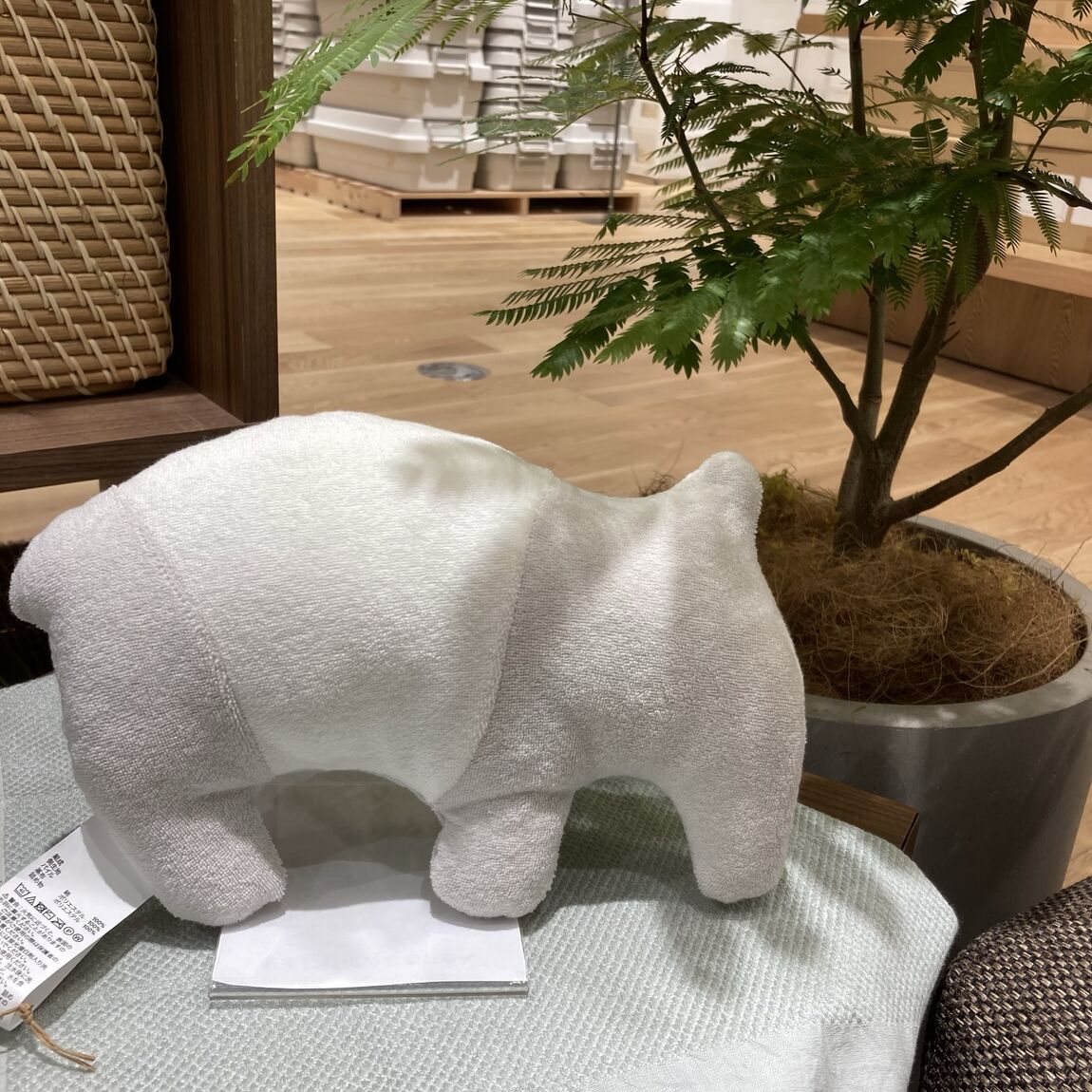 ばく
